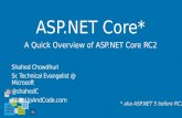 ASP.NET Core MVC + Web API with Overview (Post RC2)