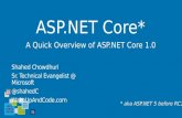 ASP.NET Core MVC + Web API with Overview