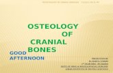 1 osteology of cranial bones rt(67) Dr. RAHUL TIWARI