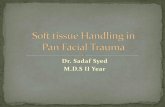 Soft tissue handling in pan facial trauma