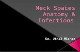 Anatomy of Neck spaces & Infections