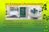 Ion exchange chromatography (1) (4)