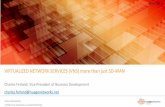 VIRTUALIZED NETWORK SERVICES (VNS) more than just SD-WAN