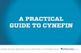 A Practical Guide to Cynefin