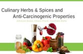 culinary Herbs and spices and its anti-carcinogenic properties