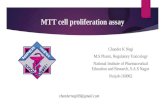 MTT cell proliferation assay