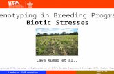 Phenotyping in Breeding Programs for biotic stresses