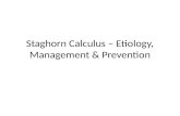 Staghorn calculus – etiology, diagnosis, management