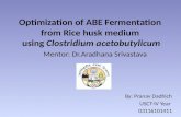 Optimization of ABE Fermentation from Rice Husk Medium using Clostridium acetobutylicum.
