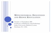 MITOCHONDRIAL BIOGENESIS AND REDOX REGULATION