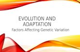 Factors affecting variation and evolutionary pathways