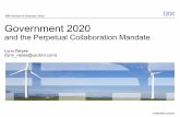 Government 2020 (v4.1 for pdf, dec2009)