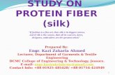 Study on Protein Fiber (Silk)