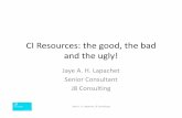 Jaye Lapachet: CI Resources- the good, the bad and the ugly