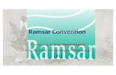 Ramsar convention