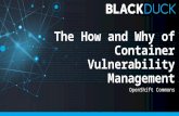 The How and Why of Container Vulnerability Management