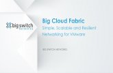 Big Cloud Fabric for VMware