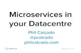 Microservices in your Datacentre