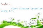 Plant Disease Detection Using I.T.