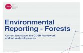 Environmental Reporting - Forests