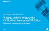 Pre-Con Ed: Wobtrigs and File triggers with CA Workload Automation ESP Edition