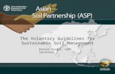 Voluntary Guidelines for Sustainable Soil Management - VGSSM