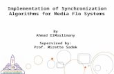 Implementation of Synchronization Algorithms for Media FLO Systems