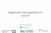 Epigenetic dysregulation talk at NGSAsia 2016