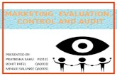 marketing evaluation , control and audit