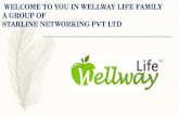 Wellway Life India Marketing Plan PPT 9465844147