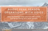 Boost Peak Season Operations in the DC with Vocollect Voice