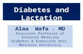 Dm and lactation  prof alaa wafa