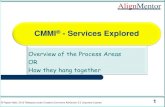 CMMI -SVC Explored - Process Area Overview