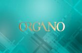 Formation Plan de Match 90 jours de notre co-fondateur ORGANO - M. Shane Morand - ORGANO Co-Founder Training 90 days Game Plan 2016 fr
