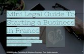 Mini Legal Guide To Start a Business  in France with Synkro Consulting.pptx (2)
