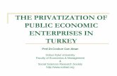 The Privatization Of Public Economic Enterprises In Turkey