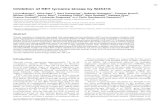 Inhibition of RET tyrosine kinase by SU5416