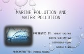 Water and Marine Pollution