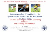 Neuromuscular plasticity in quadriceps functions in response to training