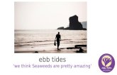 An Introduction to Ebb Tides