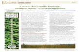 Palmer Amaranth Biology, Identification, and Management WS-51