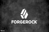 NYC Identity Summit Tech Day: ForgeRock DevOps/Cloud Strategy