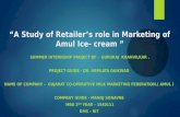 Study of retailer’s role in marketing of.pptx 1