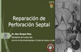 Reparación de perforación septal