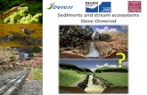 Sediments and stream ecosystems - Steve Ormerod