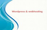Wordpress & Web Hosting