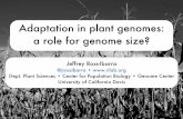 JGI: Genome size impacts on plant adaptation