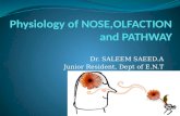 Physiology of nose,smell and its pathway