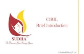 Cibil scores play a major role in processing home loan applications.