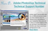 Adobe Incopy Technical Support Number